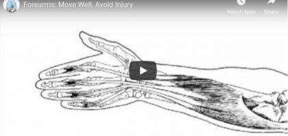 A video thumnail of muscle and bone structure od human arm